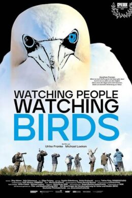 Watching People Watching Birds